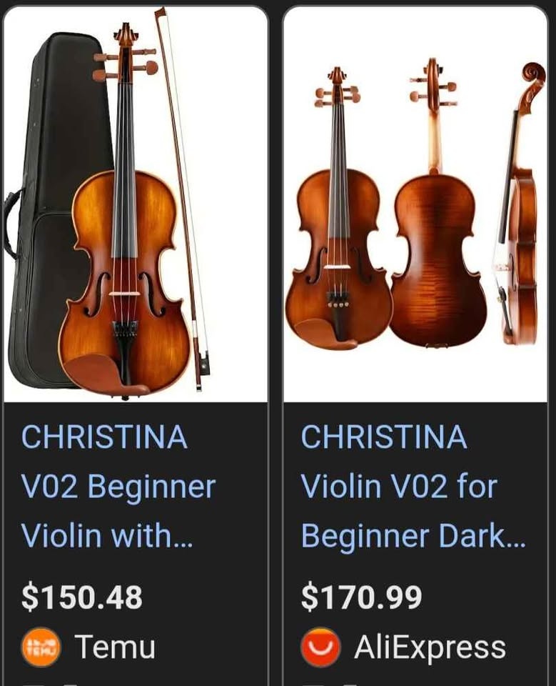 Christina V02 4/4 Violin Kit for Adult Beginners - photo 3