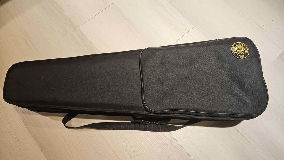 Christina V02 4/4 Violin Kit for Adult Beginners - photo 5