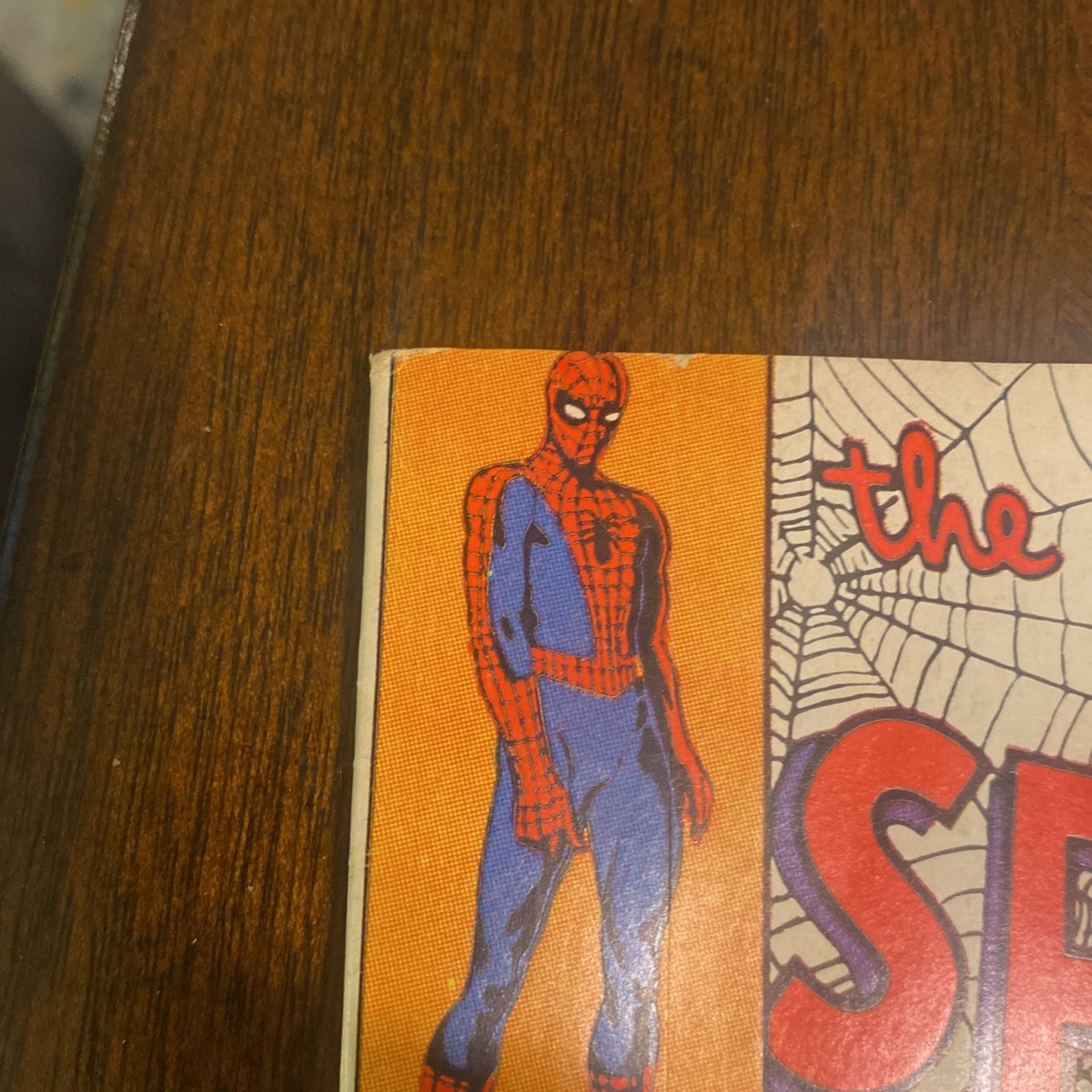 The Amazing Spider-Man - photo 5