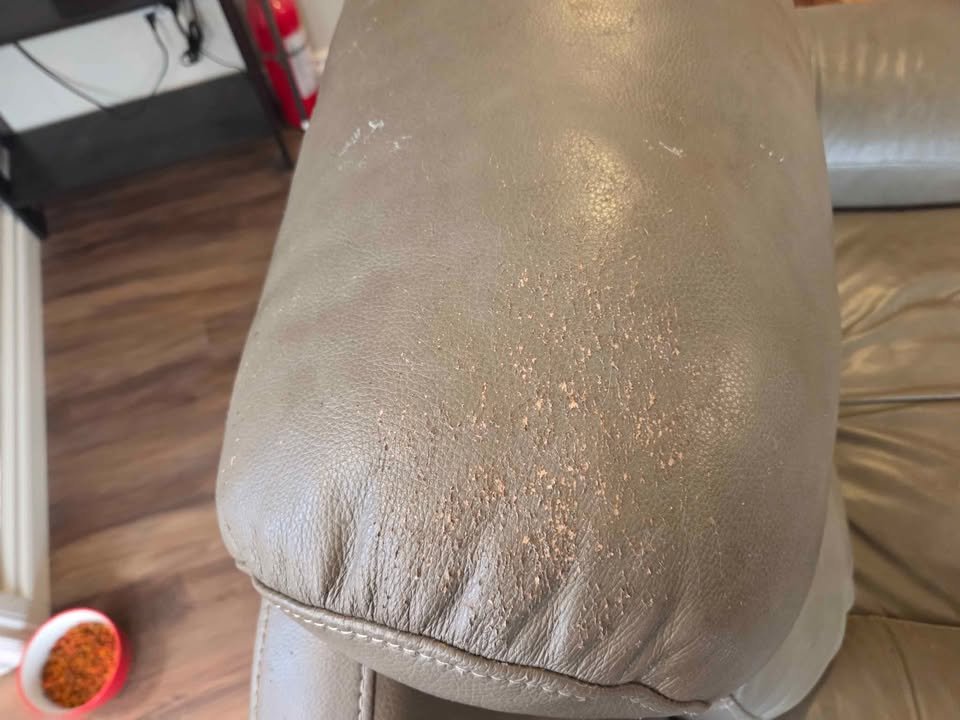 Power reclining leather chair - photo 5