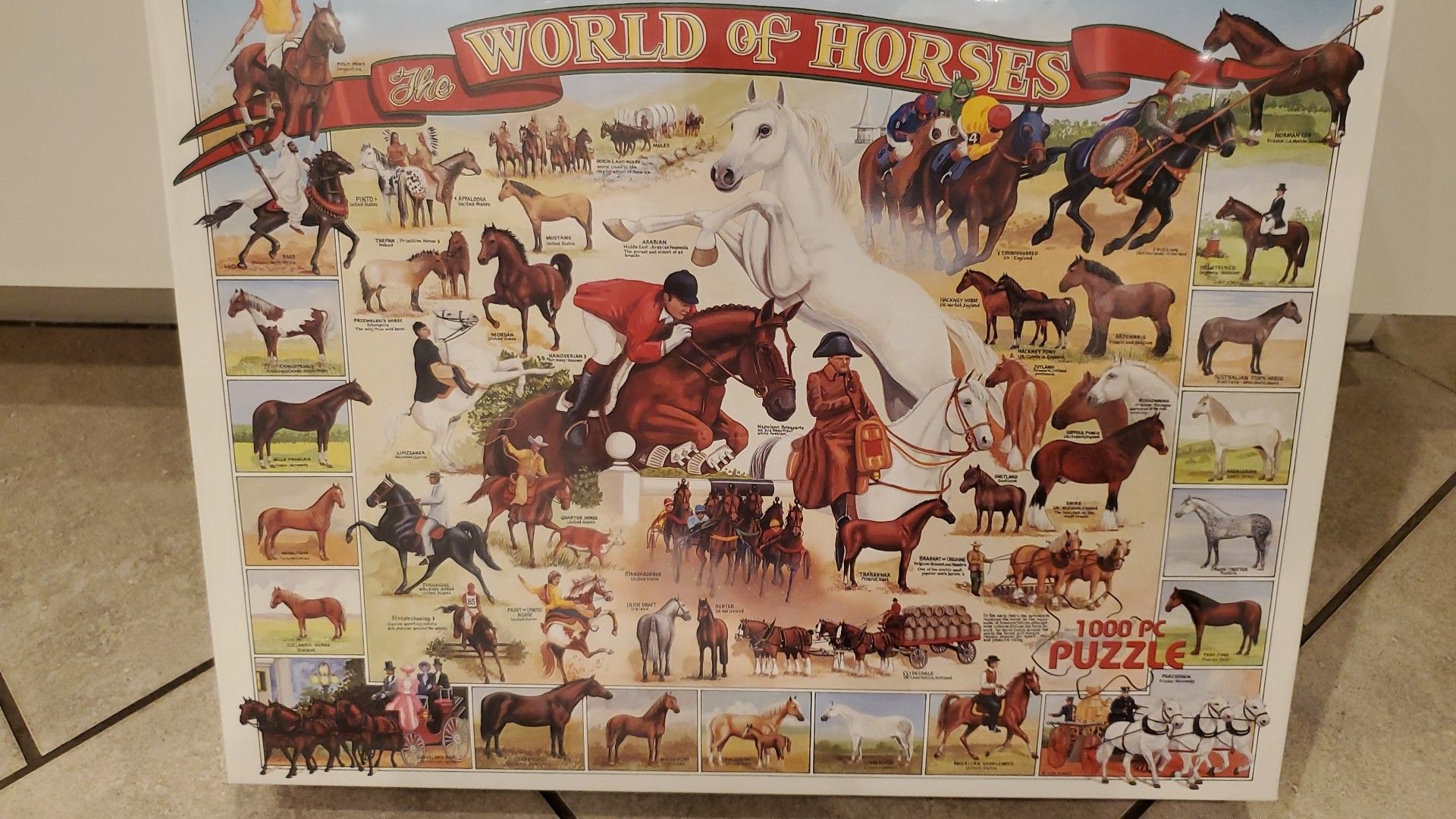 1000 PC Puzzle - World of Horses - New in Box