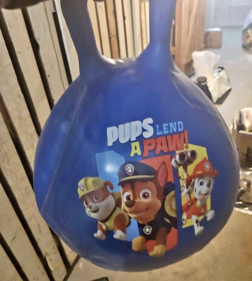 Paw patrol hopper bouncer ball
