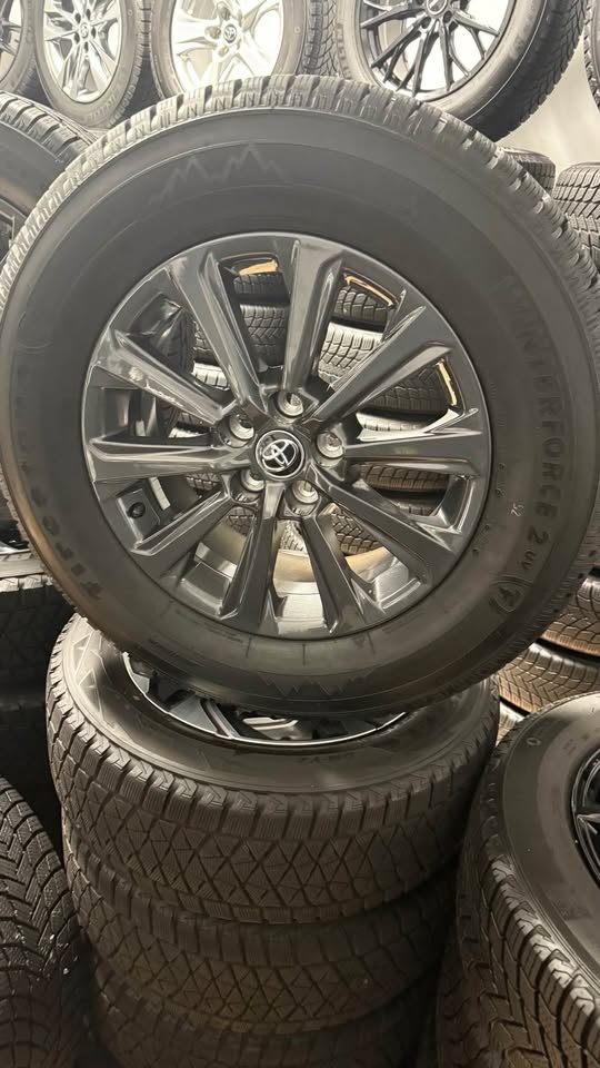 255/65R18 Toyota grand Highlander platinum 2025 original winter - photo 2