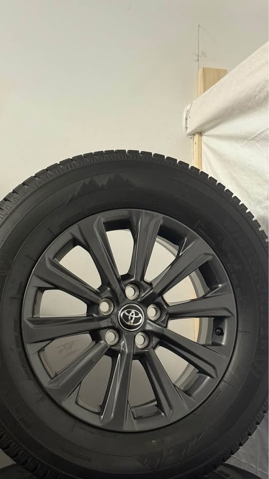 255/65R18 Toyota grand Highlander platinum 2025 original winter - photo 5