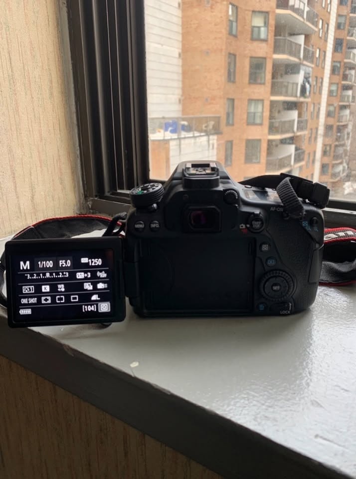 Canon EOS 80D - photo 2