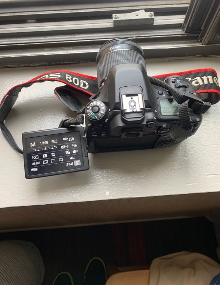 Canon EOS 80D - photo 3