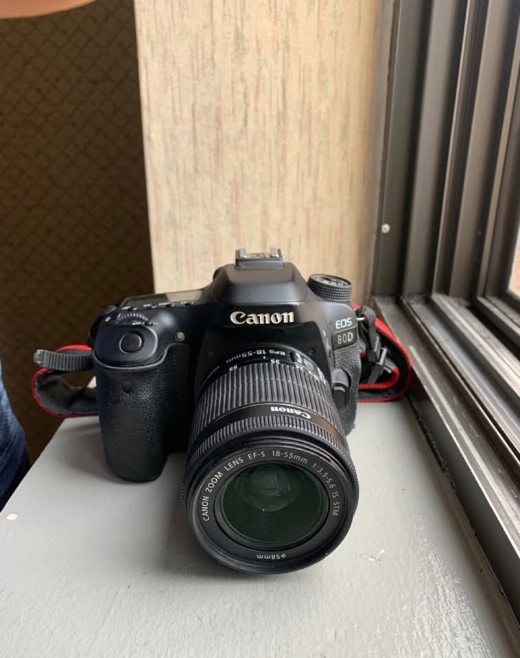 Canon EOS 80D - photo 4