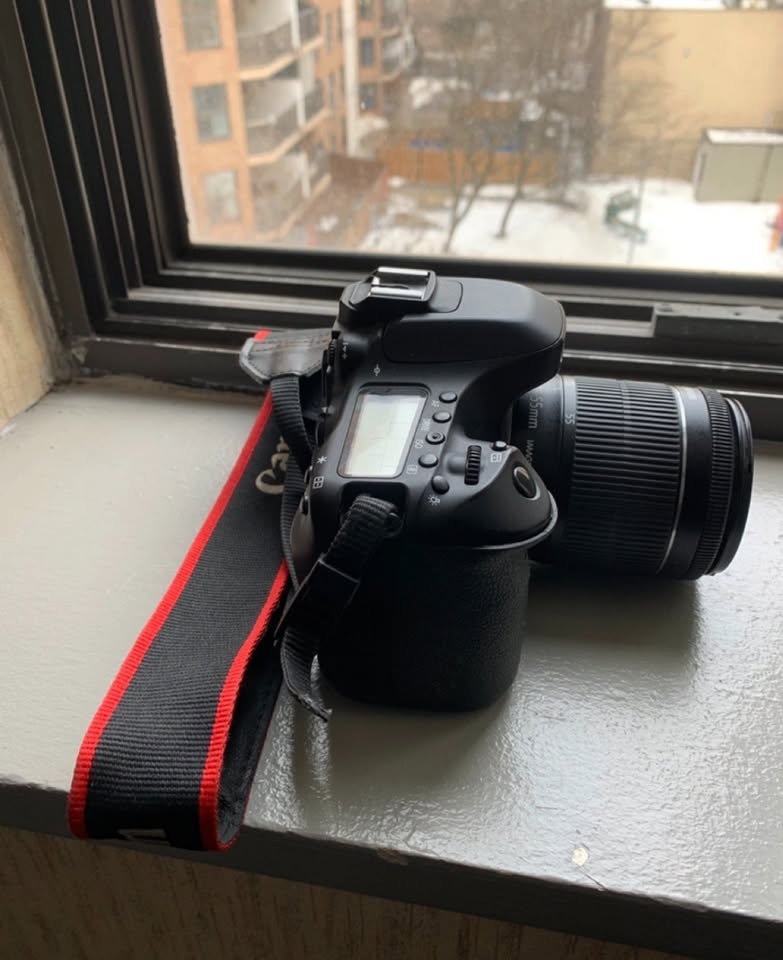 Canon EOS 80D - photo 5