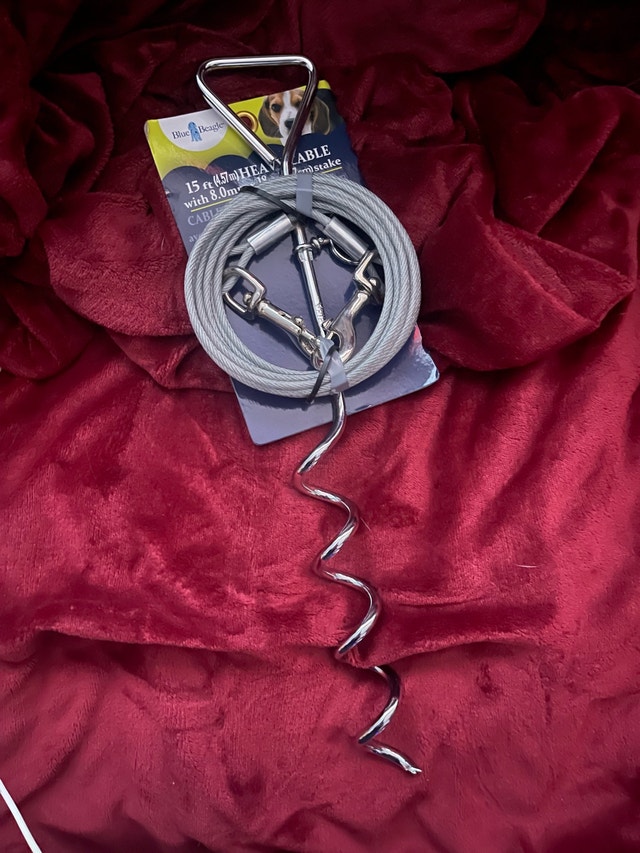 Blue Beagle Tie Out Cable