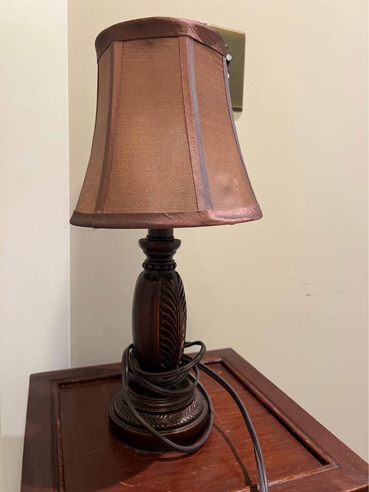 Small Brown Lamp - photo 3