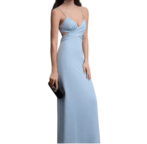 BHLDN livy cut out gown US 10