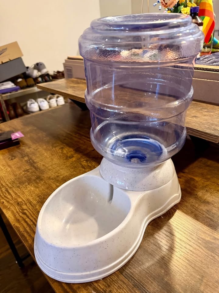 MOVE OUT SALE: Pet Water Dispenser - photo 3