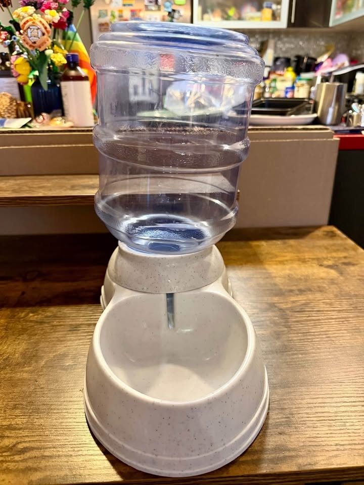 MOVE OUT SALE: Pet Water Dispenser - photo 4