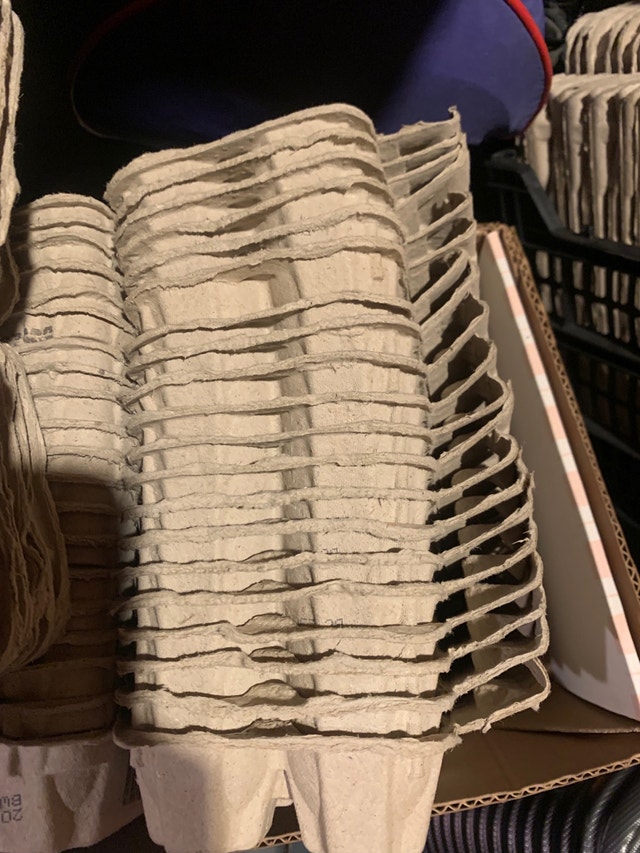 Egg Cartons (size of dozen eggs)