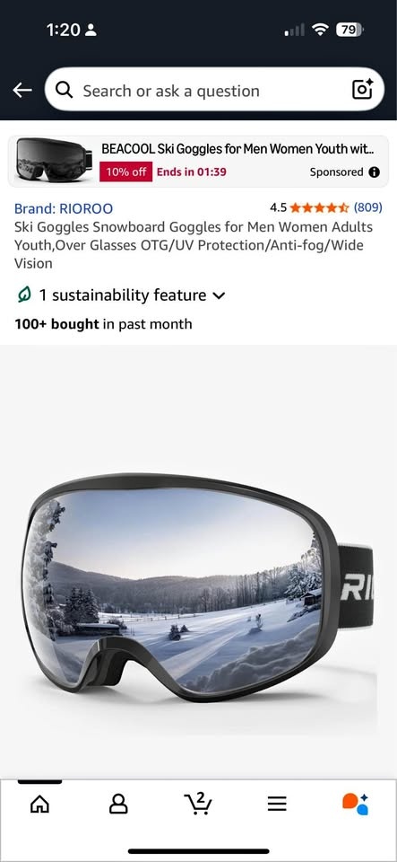 Moving Out Sale – Rioroo Ski Goggles