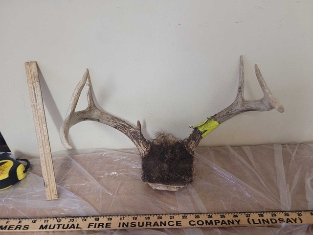 2 s Set Deer Antler Coat Hanger Man Cave
