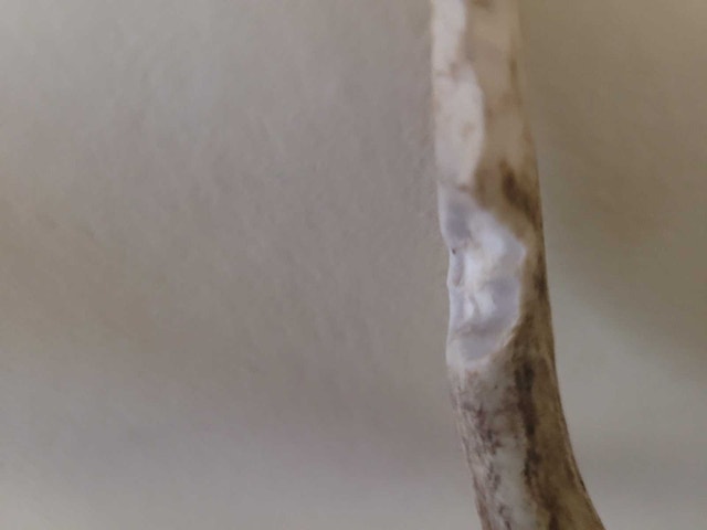 2 s Set Deer Antler Coat Hanger Man Cave - photo 3