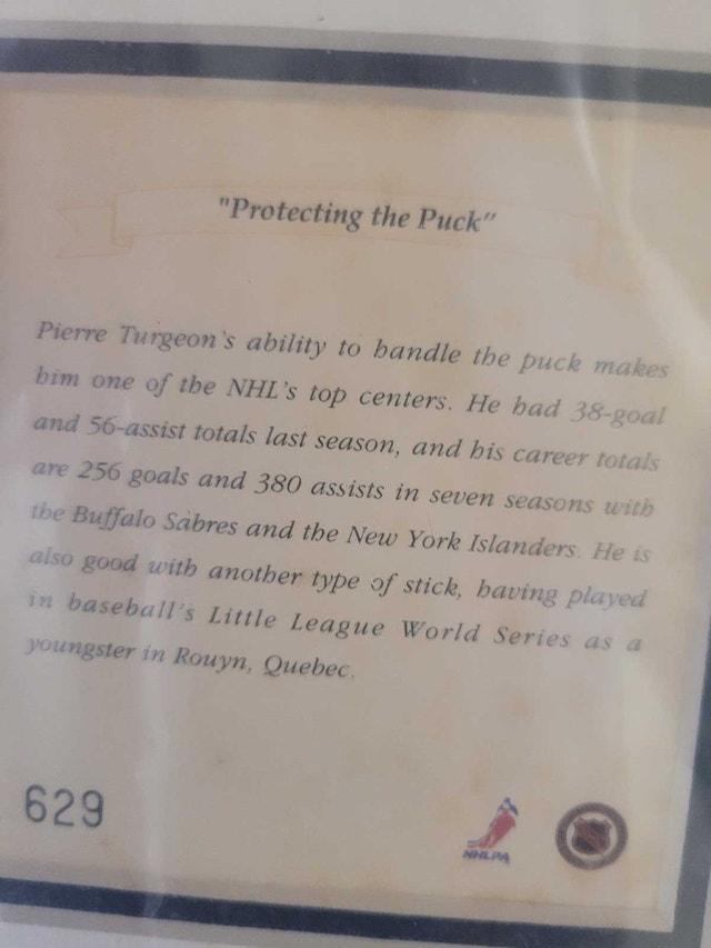 1994 Pierre Turgeon Collectable Poster Card - photo 5