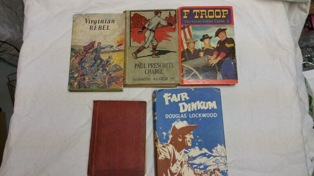 5 Hard Cover Boy Story Books