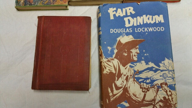 5 Hard Cover Boy Story Books - photo 3