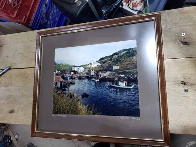 Frame Picture Trouty NFLD Photograph by Ben Hansen