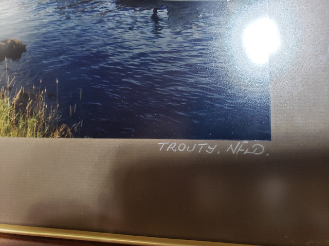 Frame Picture Trouty NFLD Photograph by Ben Hansen - photo 3