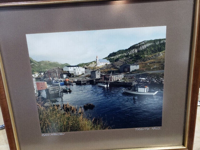 Frame Picture Trouty NFLD Photograph by Ben Hansen - photo 5
