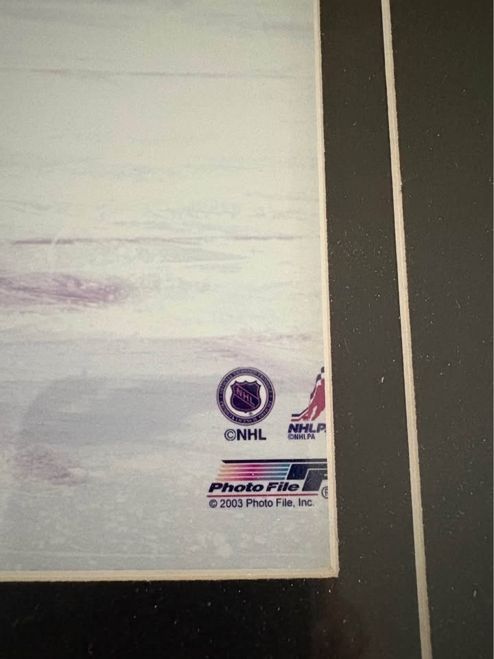 Peter Forsberg Avalanche Framed Photo (2003) - photo 2