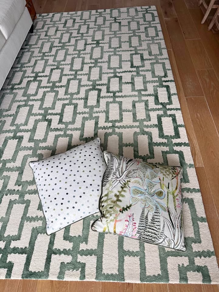 8x11 Green and White Rug by Feizy
