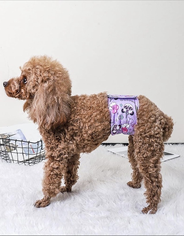 New XL Male Dog Reusable Diaper/Belly Band - Washable Pet Wrap