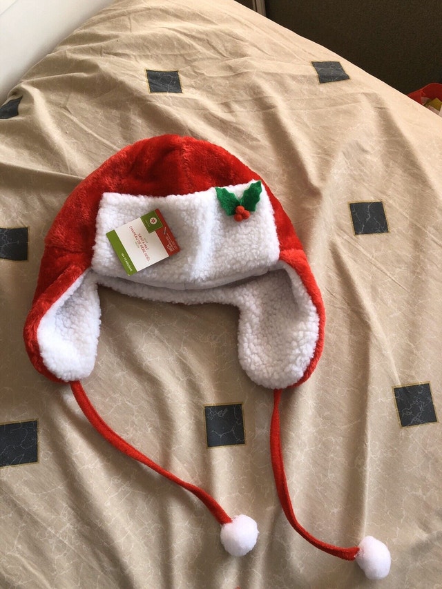 Adult Santa hat
