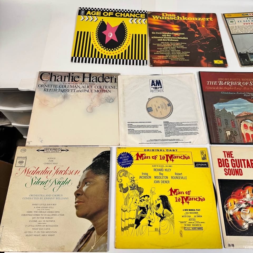 Vintage Vinyl Record Lot – 11 Records – Mixed Genres