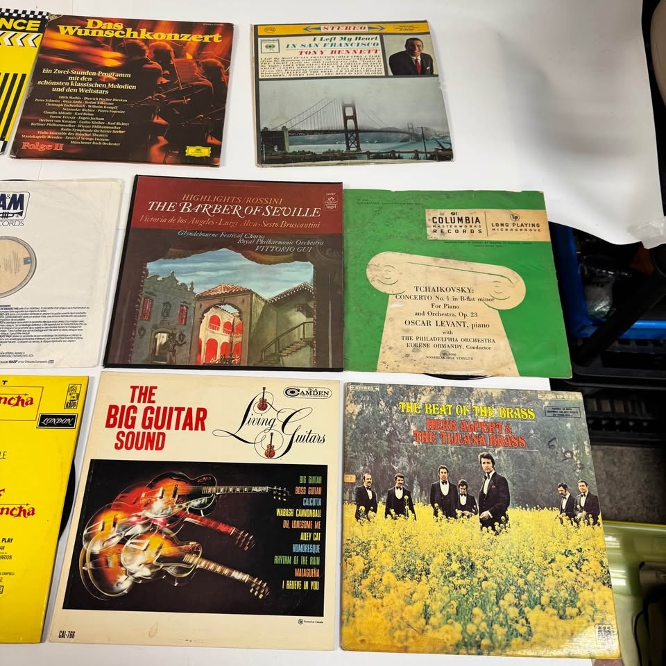 Vintage Vinyl Record Lot – 11 Records – Mixed Genres - photo 2