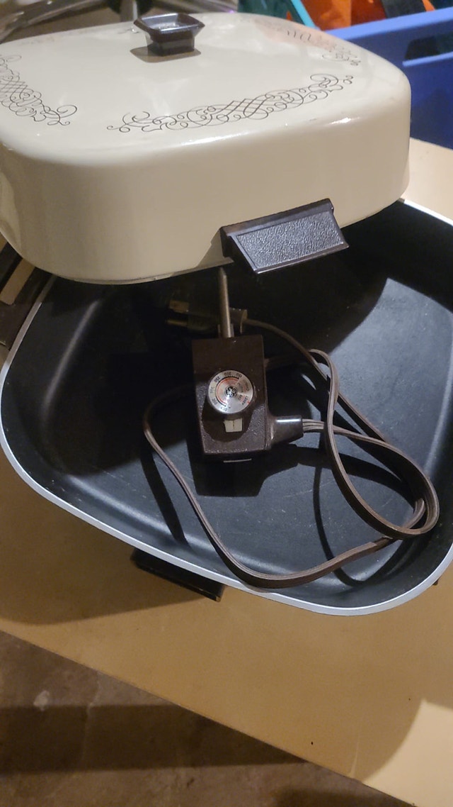 Portable Electric Pan