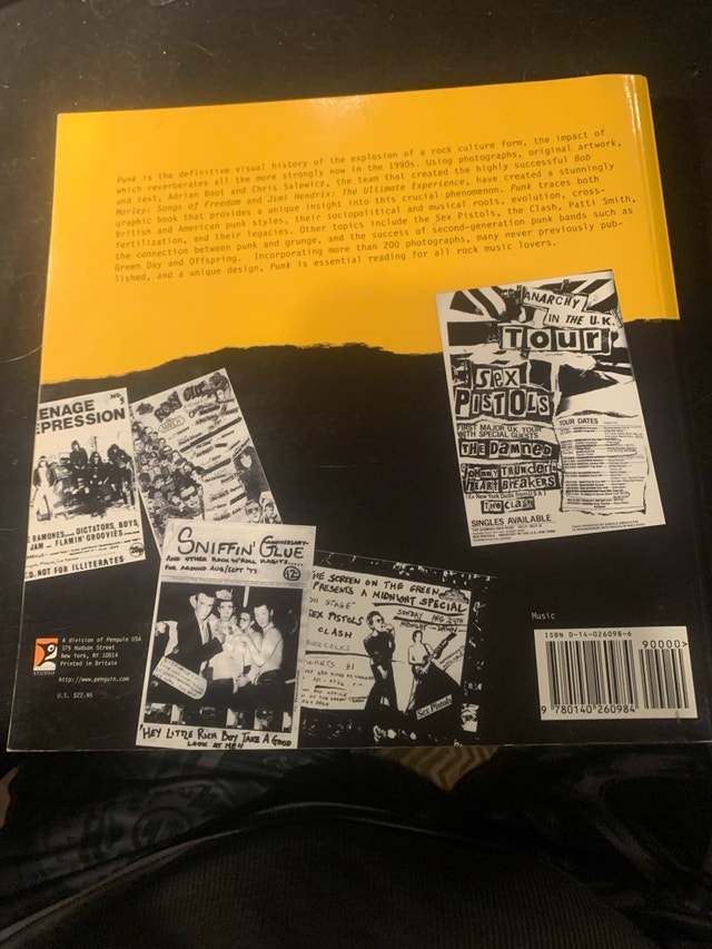 PUNK: The Illustrated History of a Misic Revolution BOOK - photo 2
