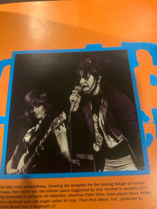 PUNK: The Illustrated History of a Misic Revolution BOOK - photo 5