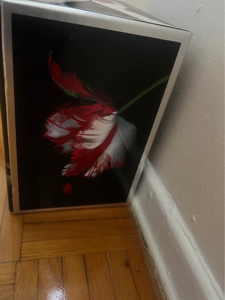 Twilight - photo 3