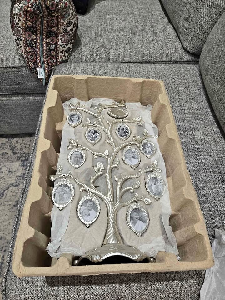 Brand New in Box Tree Frame