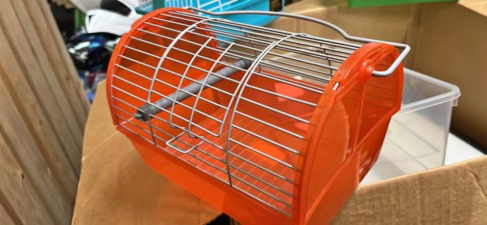 Small Animal Cage - Orange, Blue, Green