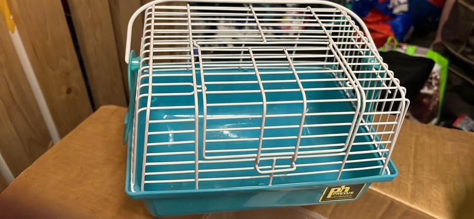 Small Animal Cage - Orange, Blue, Green - photo 2