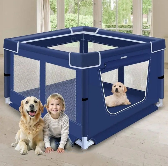 Pet accessories, Product for pets, dogs, cats, rabbits - photo 3
