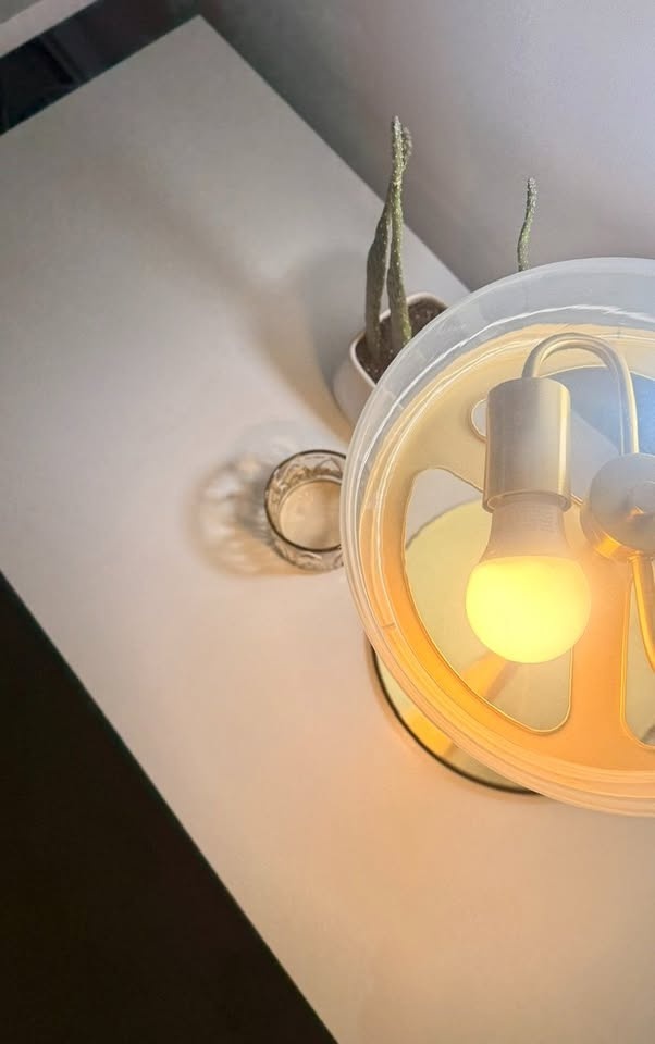 ÅTERSKEN Table Lamp – Gold / Clear Glass - photo 5