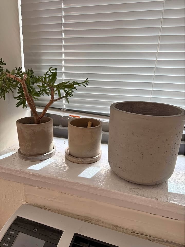 West Elm Pots (3)