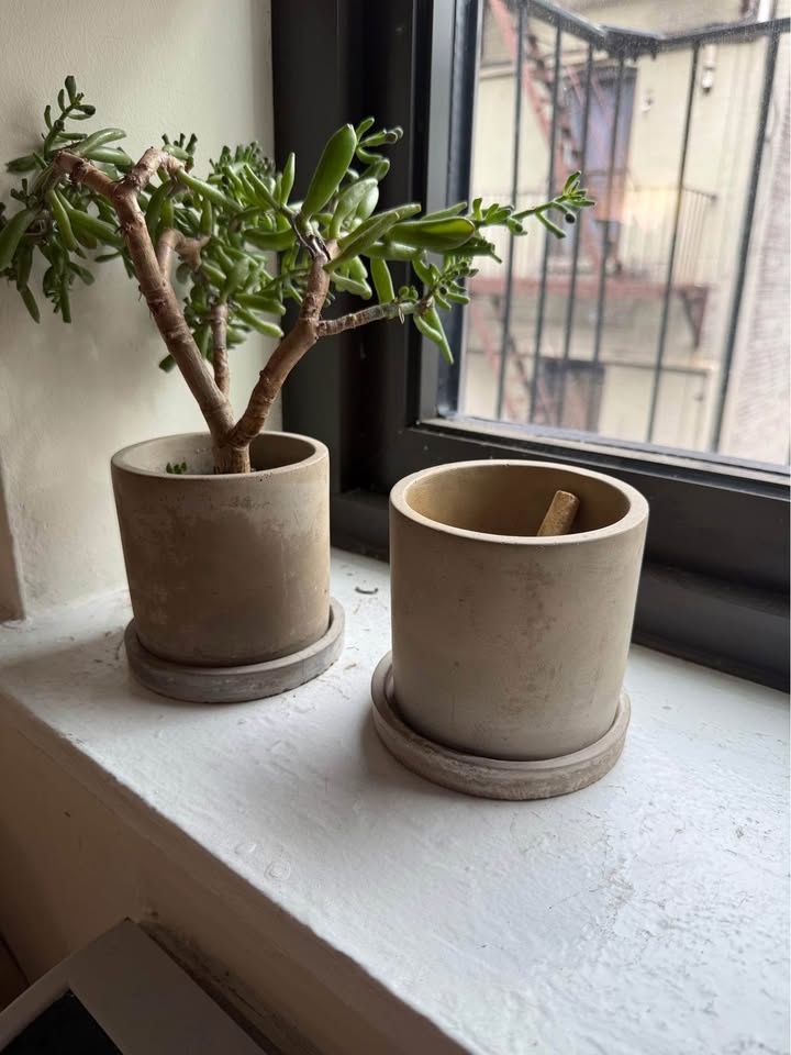 West Elm Pots (3) - photo 2