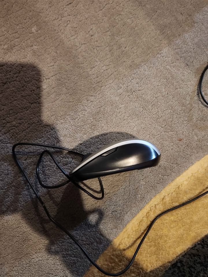 Dell USB Laser Mouse - photo 3