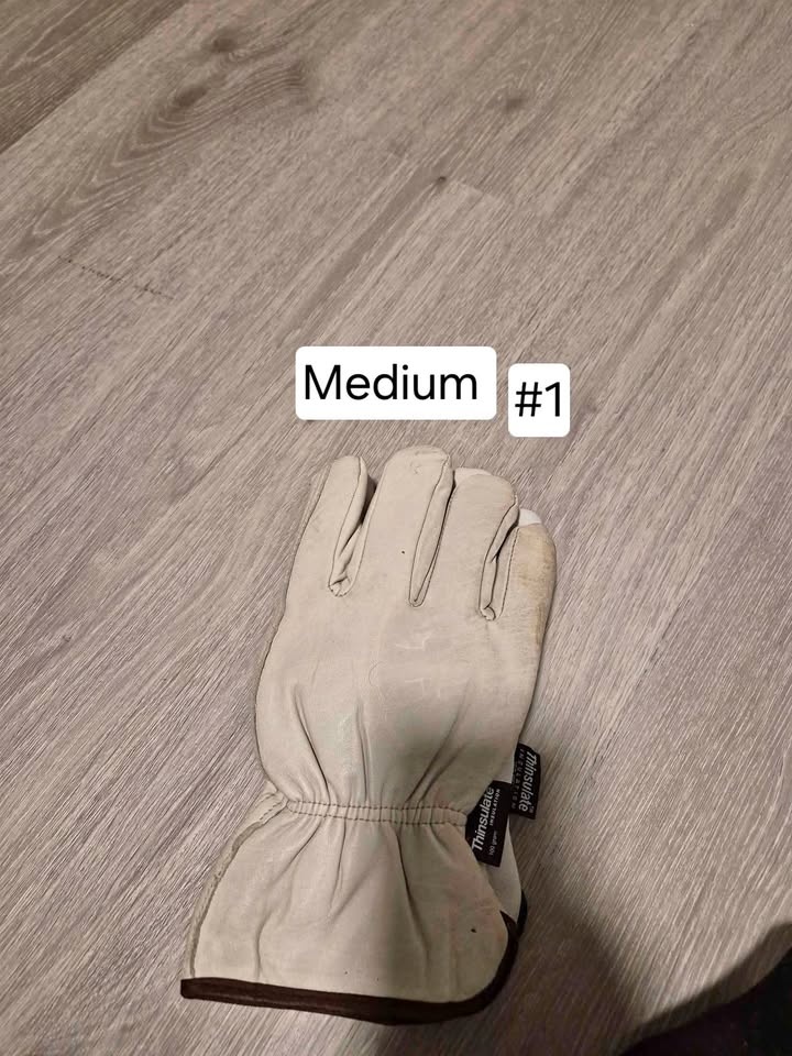 Moving sale - Brand New Insulation winter gloves