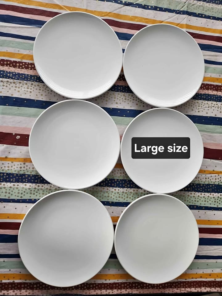 Price negotiable - Dinner plates set