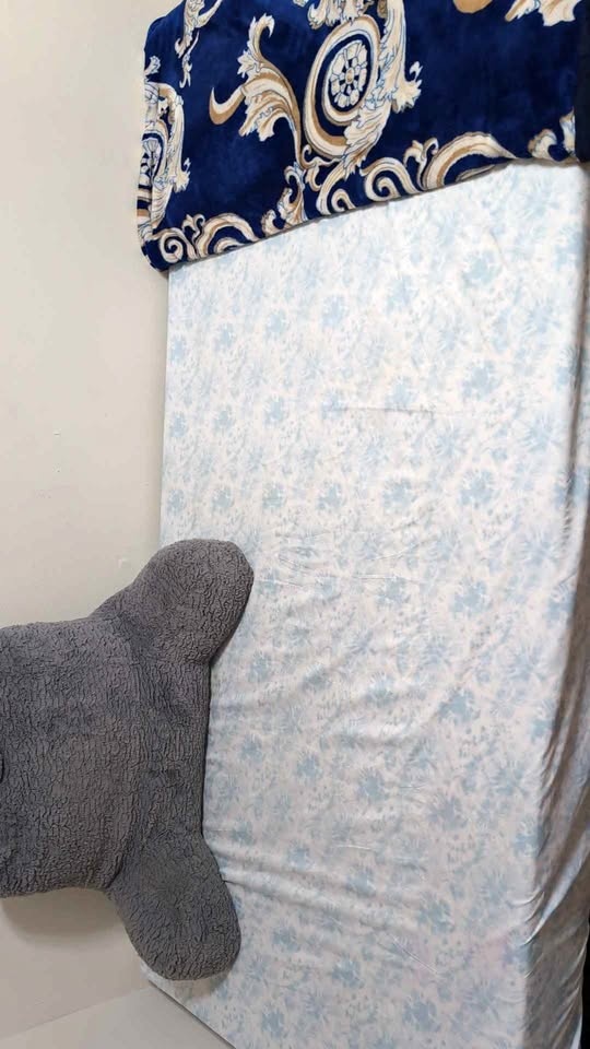 Twin -Bed Mattress with Spring box