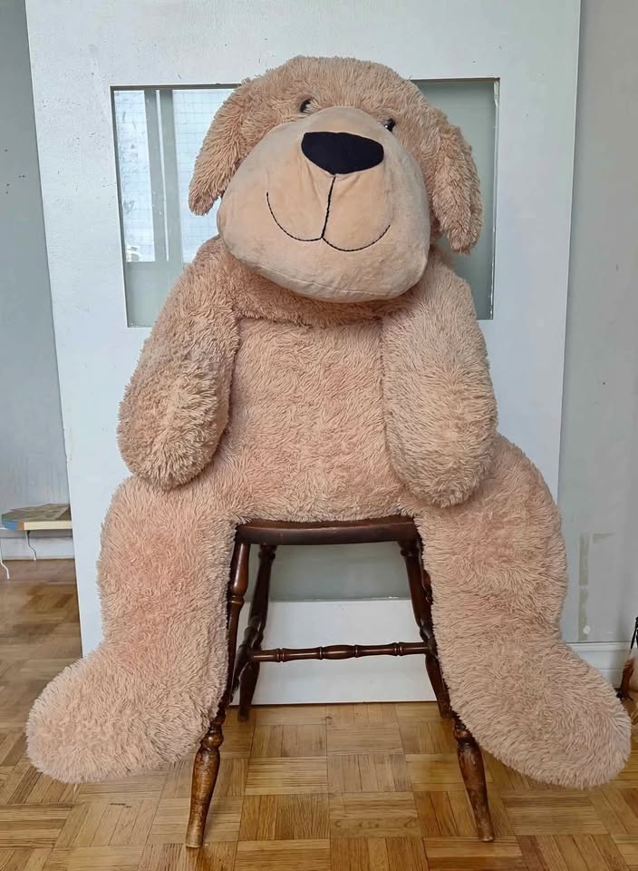 4 feet Big Teddy Dog for rent and centerpieces