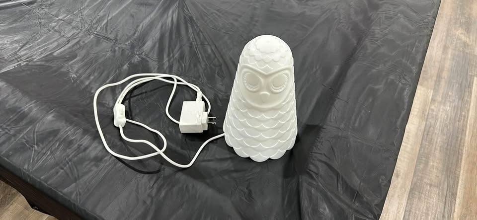 Owl light
